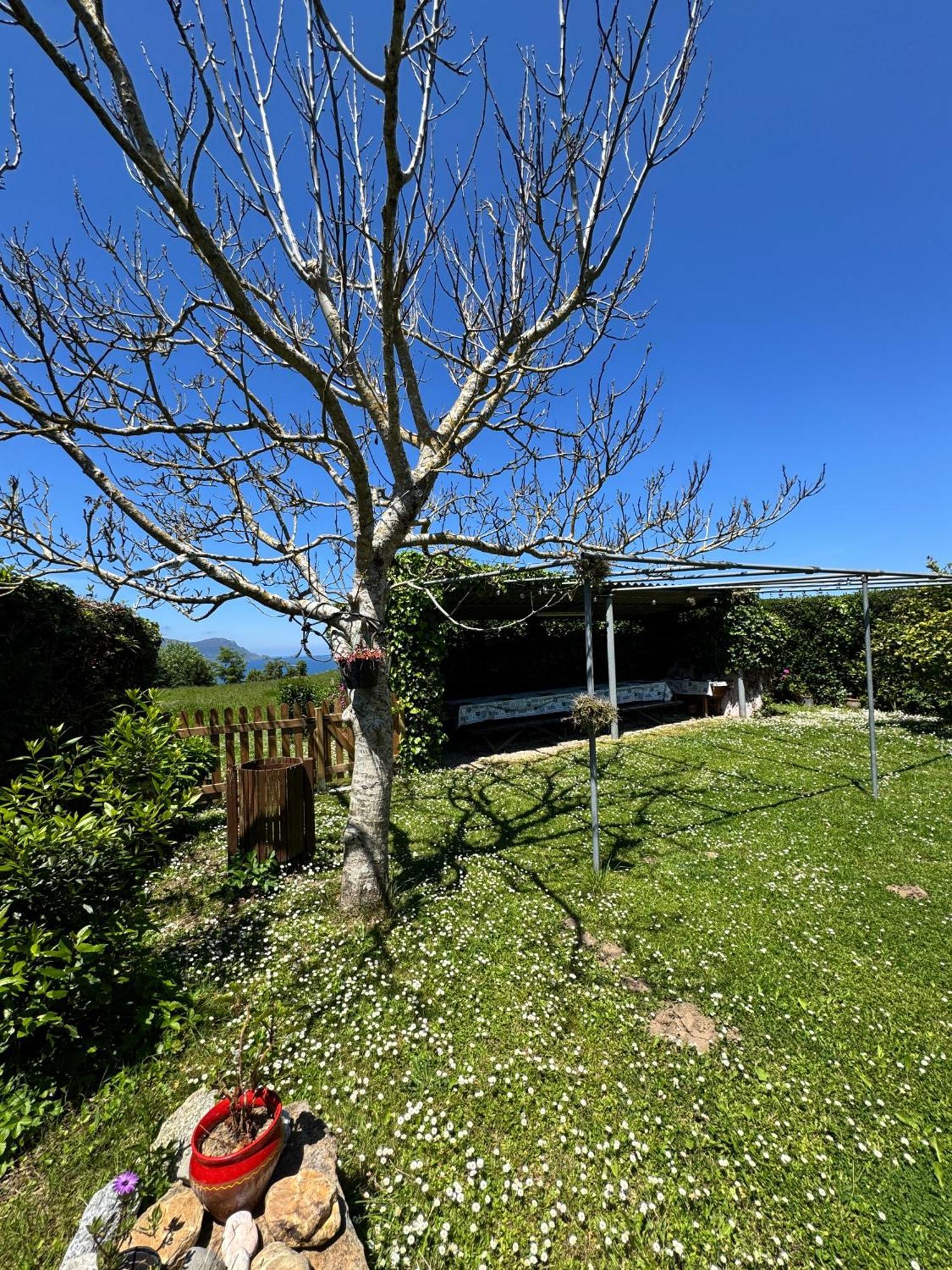 Villa O Cabaleiro à Ortigueira Extérieur photo